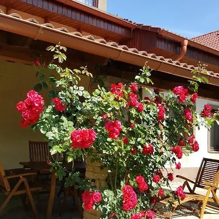 Balassi Apartment -With Green Terrace&Bike Sturovo Exterior photo