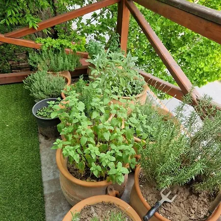 Balassi Apartment -With Green Terrace&Bike Sturovo Exterior photo