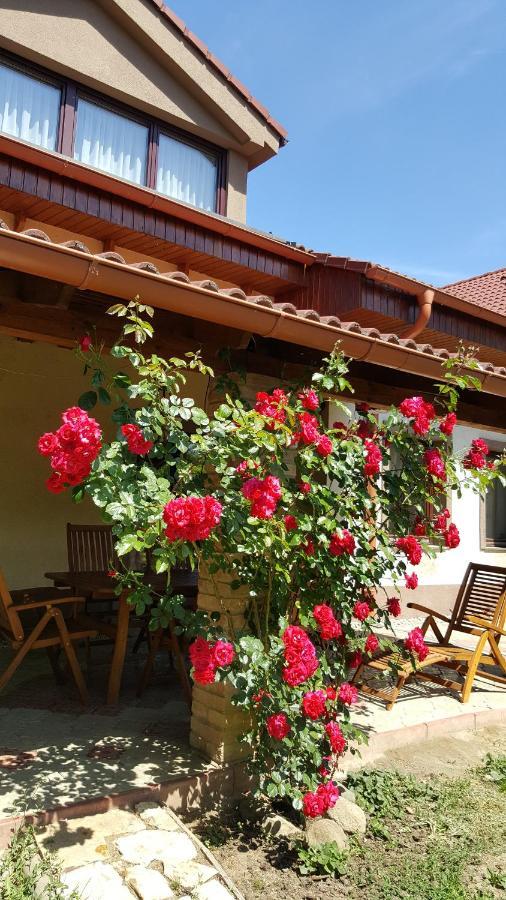 Balassi -with Terrace&bike * Sturovo