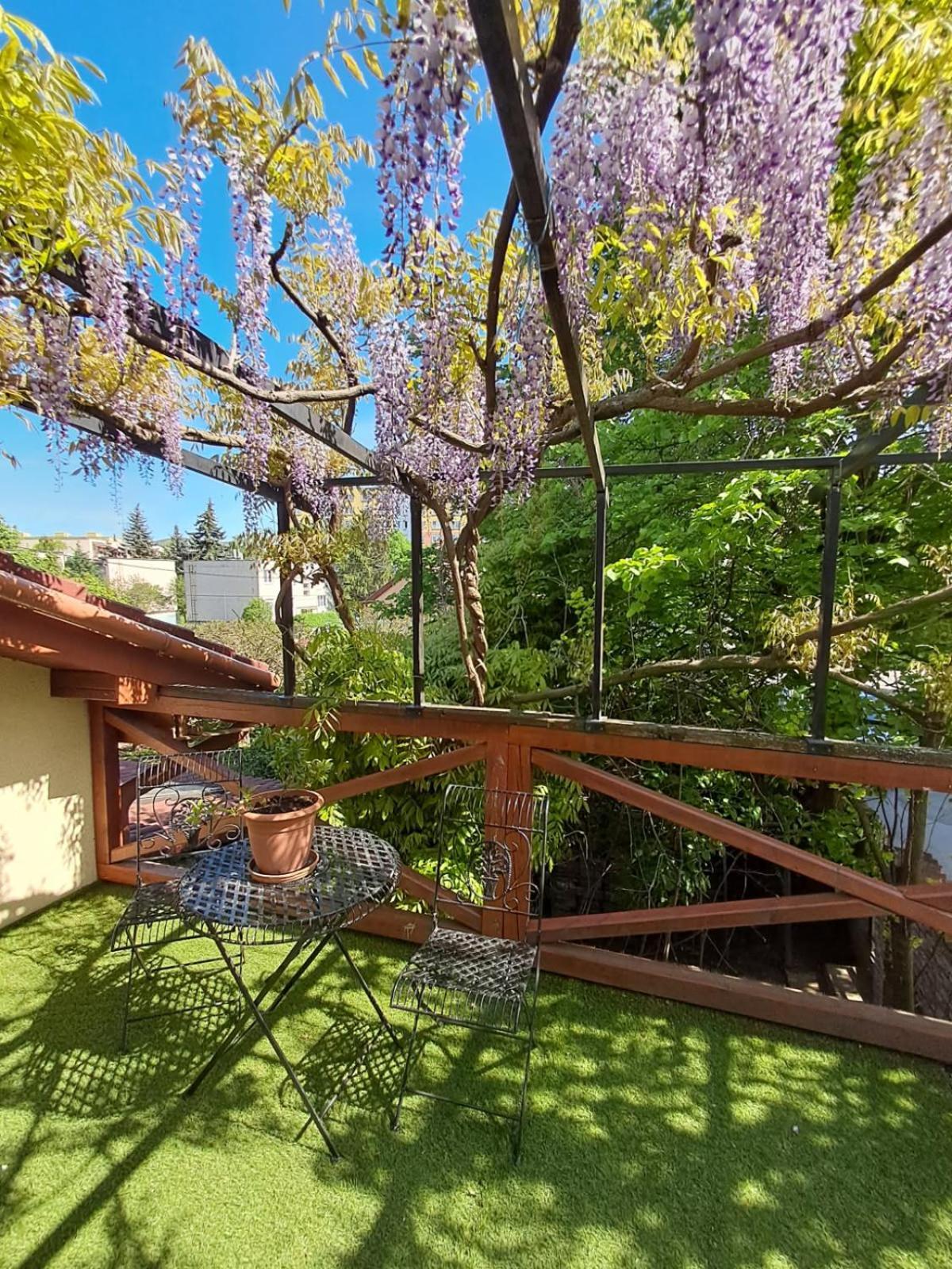 Balassi -with Terrace&bike Apartment *